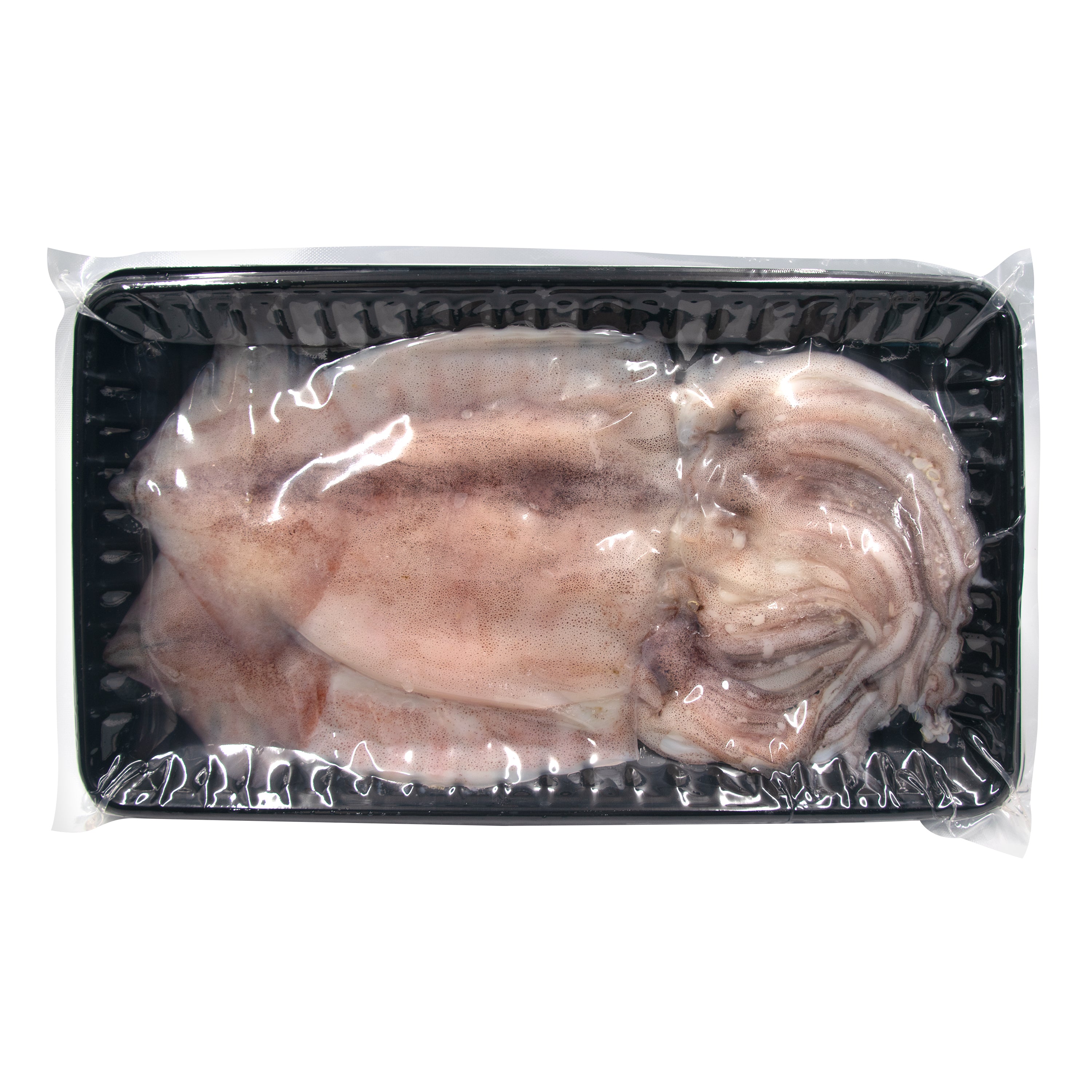 Cleaned Squid — Frozen Whole Cleaned and Eviscerated Korean Squid – Side