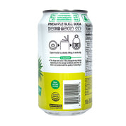 Pineapple Slice Soda — Sparkling pineapple flavored soda drink