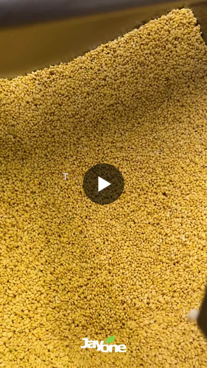 Inside the Tofu Plant at Our Headquarters